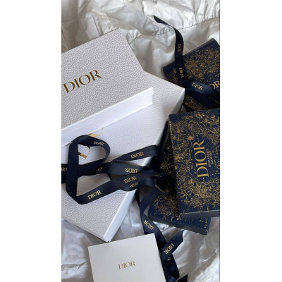 Сапоги Dior