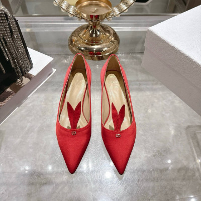 Туфли Dior